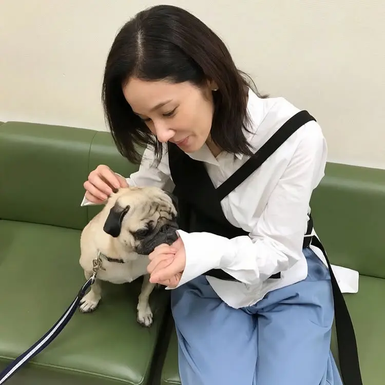 コーディネート