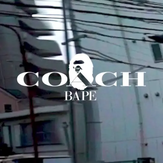 コーディネート