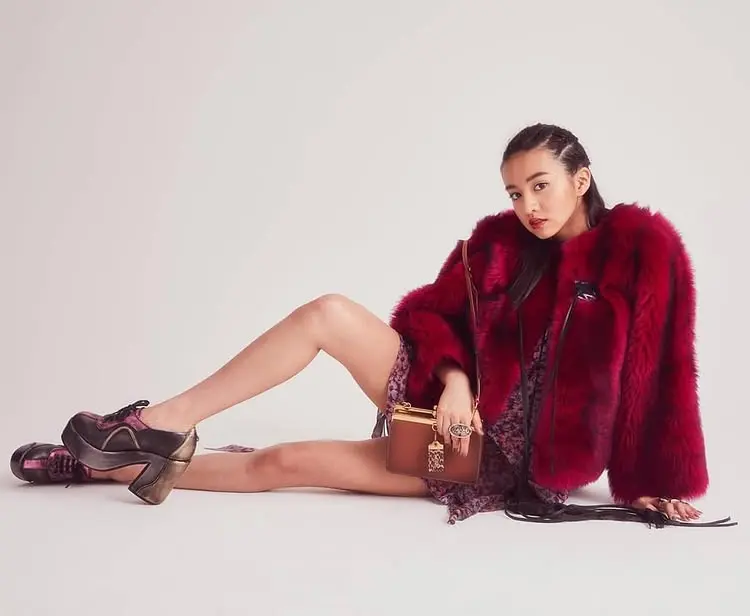 コーディネート