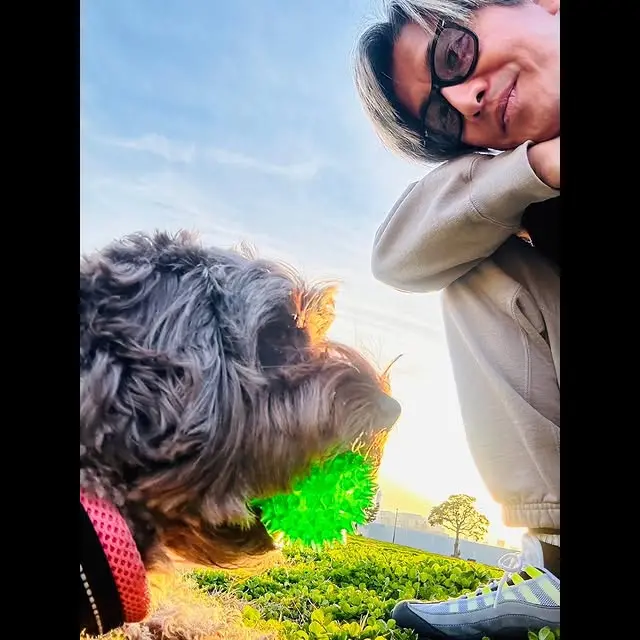 コーディネート