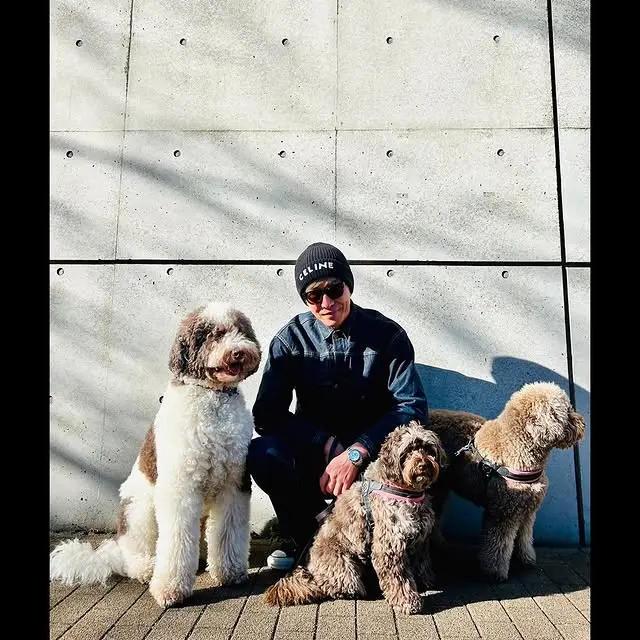 コーディネート