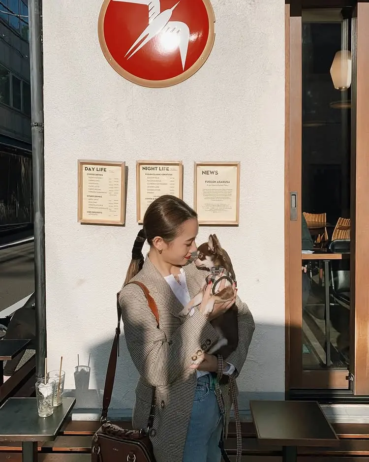 コーディネート