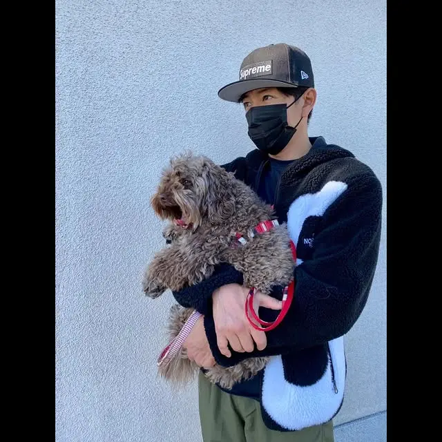 コーディネート