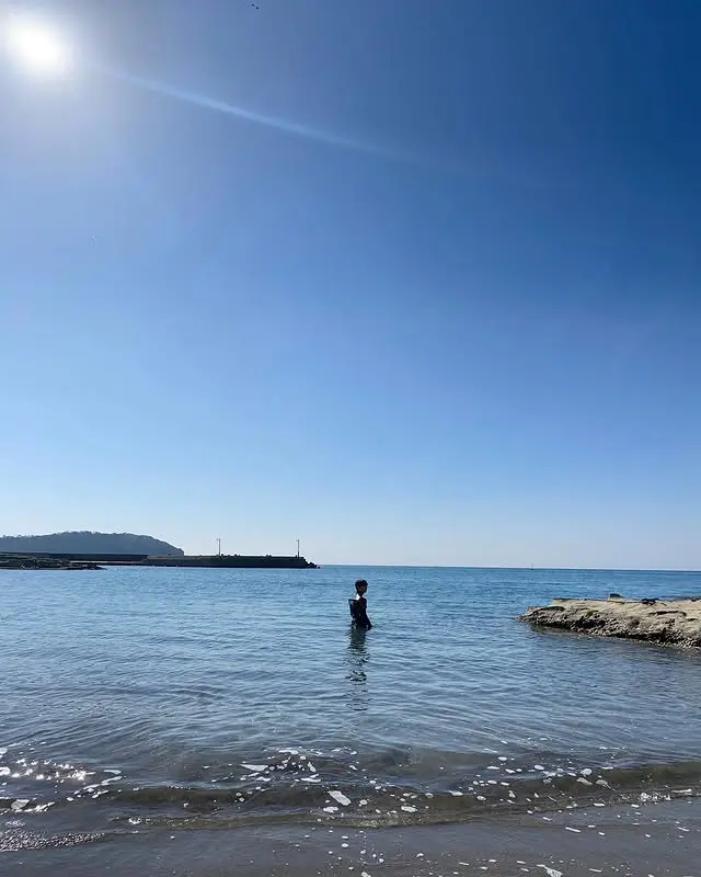 コーディネート