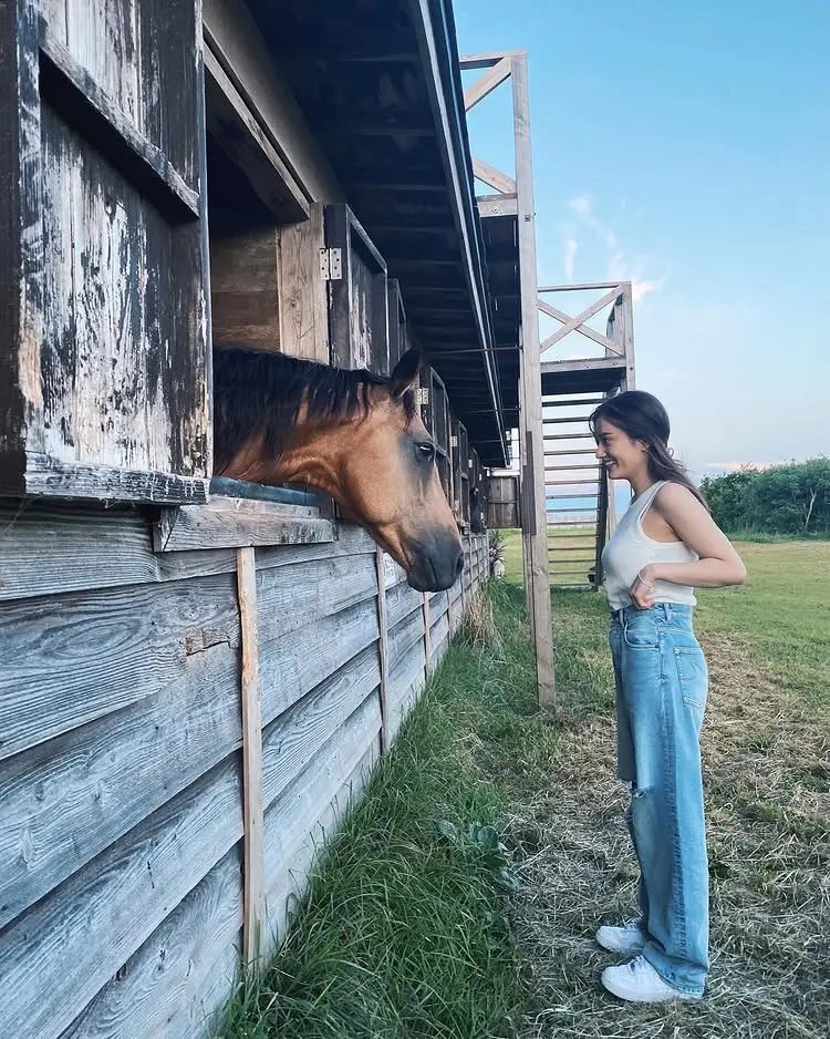 コーディネート