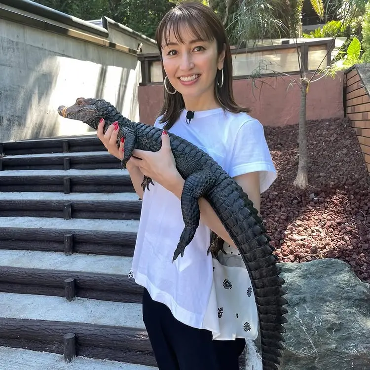 コーディネート