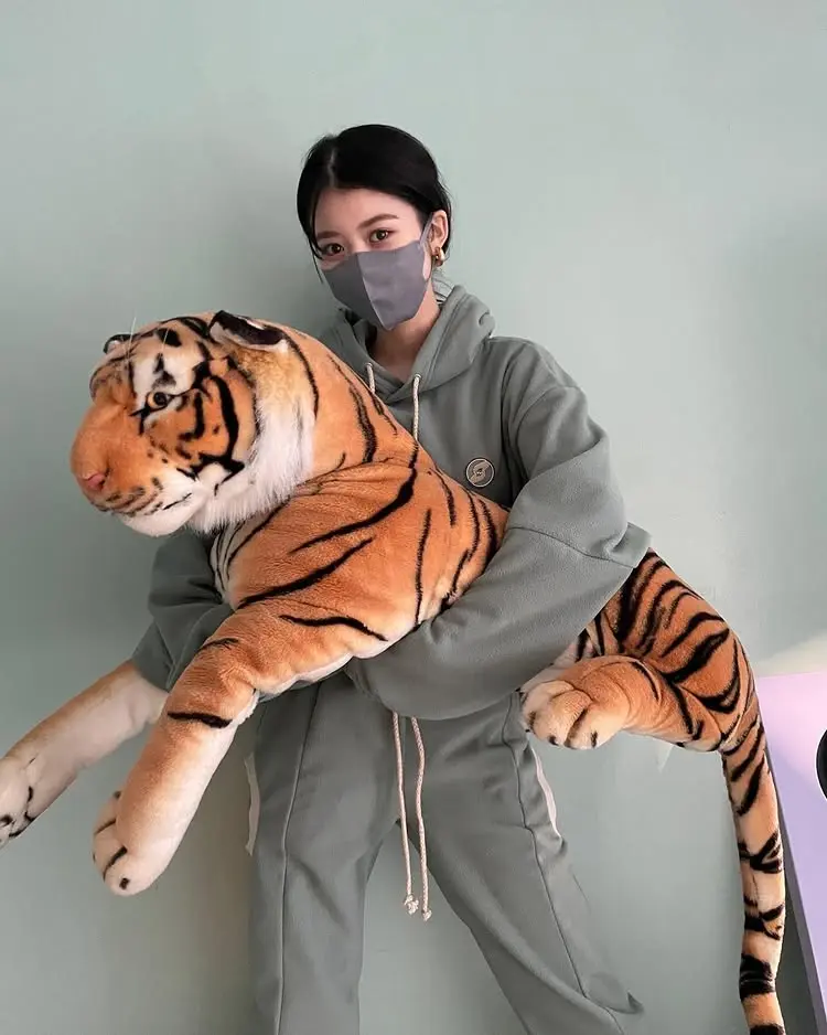 コーディネート