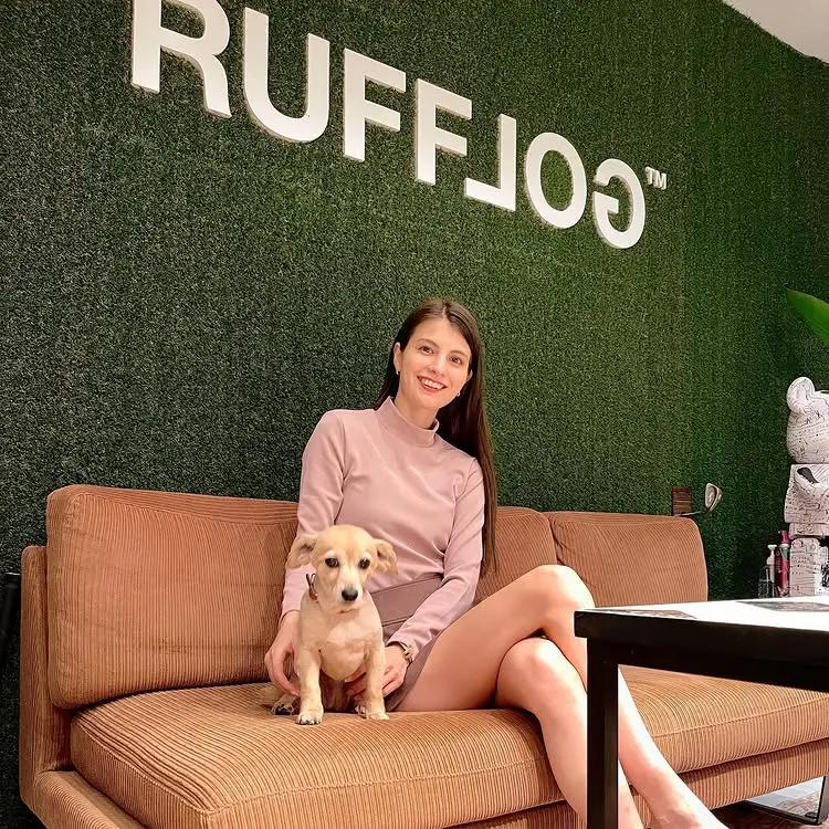 コーディネート