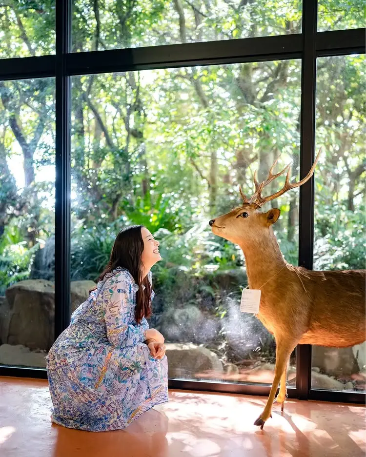 コーディネート