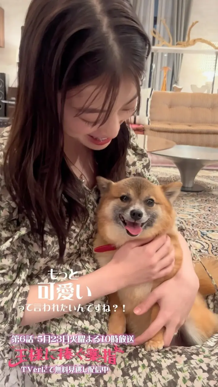 コーディネート