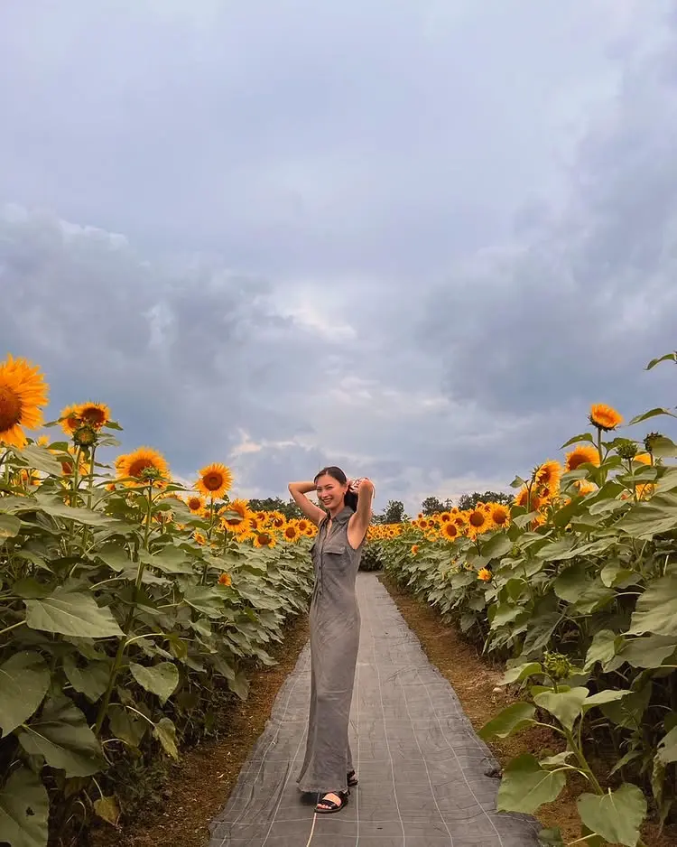 コーディネート