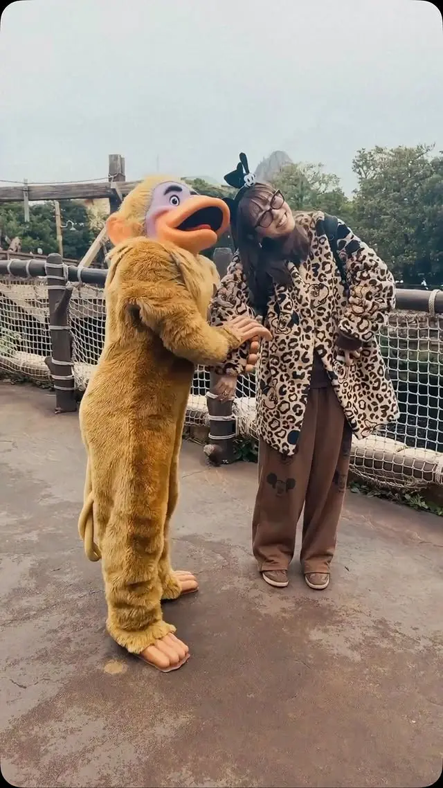 コーディネート