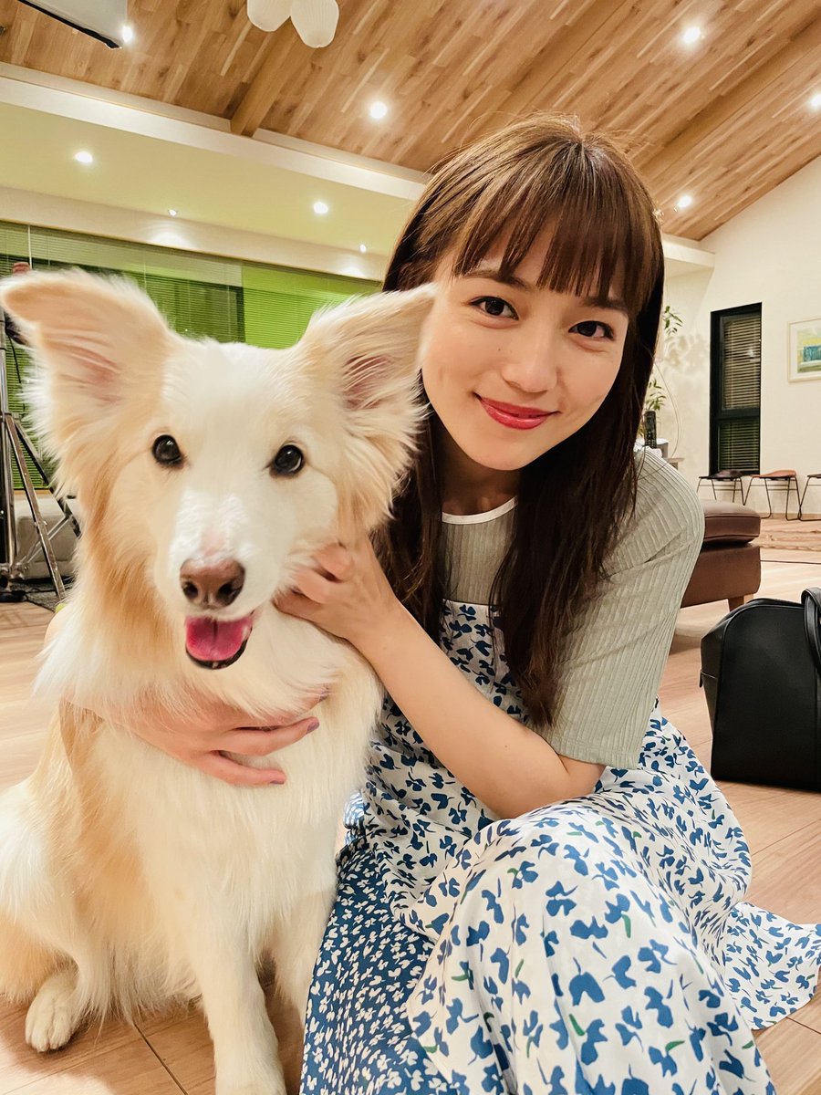 正式的 着飾る恋には理由があって 川口春奈着用 ワンピース ひざ丈ワンピース Farmersmarket Qa